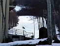 panorama polle